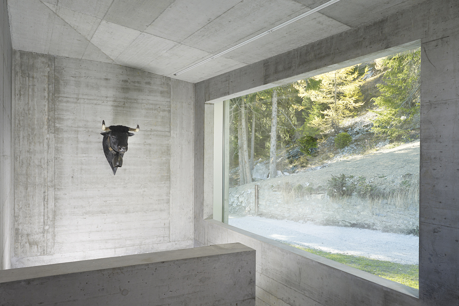 A wonderful serenity